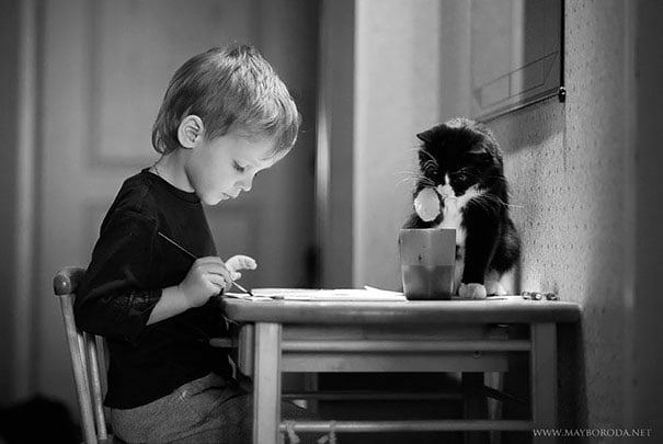 baby, babies, cat with kids, cat with baby, cat, animal, awesome, cool, omg, sweet, cuttest cat, cat photo, cat images