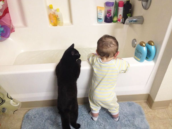 baby, babies, cat with kids, cat with baby, cat, animal, awesome, cool, omg, sweet, cuttest cat, cat photo, cat images