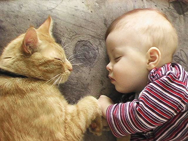 Baby, babies, cat with kids, cat with baby, cat, animal, awesome, cool, omg, sweet, cuttest cat, cat photo, cat images