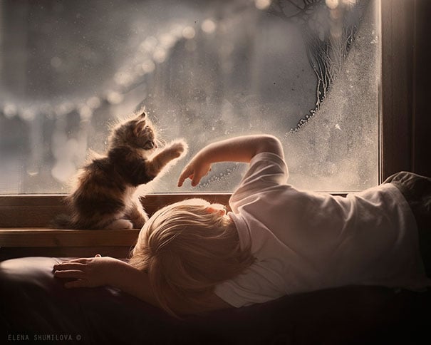baby, babies, cat with kids, cat with baby, cat, animal, awesome, cool, omg, sweet, cuttest cat, cat photo, cat images