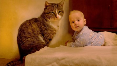 baby, babies, cat with kids, cat with baby, cat, animal, awesome, cool, omg, sweet, cuttest cat, cat photo, cat images