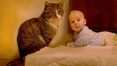 Baby, babies, cat with kids, cat with baby, cat, animal, awesome, cool, omg, sweet, cuttest cat, cat photo, cat images