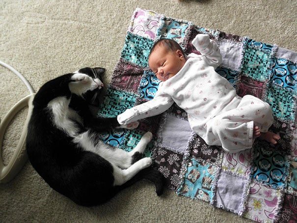 Baby, babies, cat with kids, cat with baby, cat, animal, awesome, cool, omg, sweet, cuttest cat, cat photo, cat images