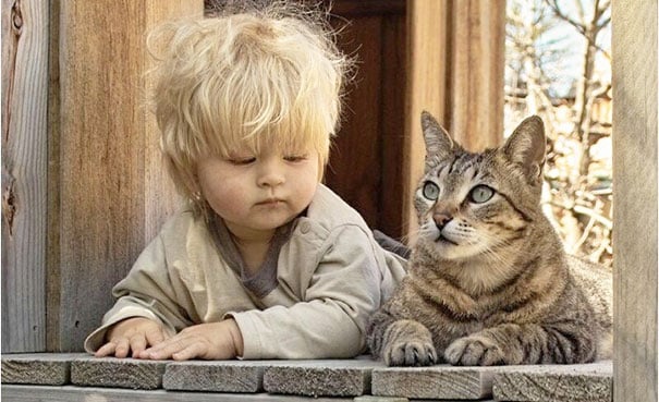 baby, babies, cat with kids, cat with baby, cat, animal, awesome, cool, omg, sweet, cuttest cat, cat photo, cat images