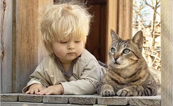 Baby, babies, cat with kids, cat with baby, cat, animal, awesome, cool, omg, sweet, cuttest cat, cat photo, cat images