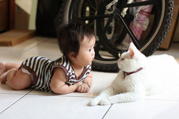 baby, babies, cat with kids, cat with baby, cat, animal, awesome, cool, omg, sweet, cuttest cat, cat photo, cat images