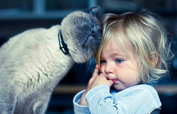baby, babies, cat with kids, cat with baby, cat, animal, awesome, cool, omg, sweet, cuttest cat, cat photo, cat images
