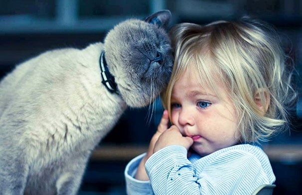 Baby, babies, cat with kids, cat with baby, cat, animal, awesome, cool, omg, sweet, cuttest cat, cat photo, cat images