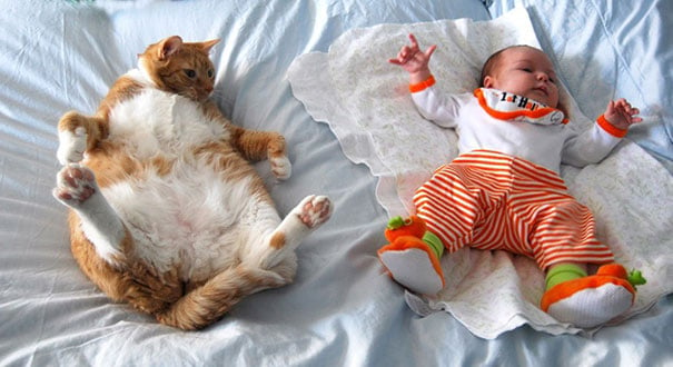 Baby, babies, cat with kids, cat with baby, cat, animal, awesome, cool, omg, sweet, cuttest cat, cat photo, cat images