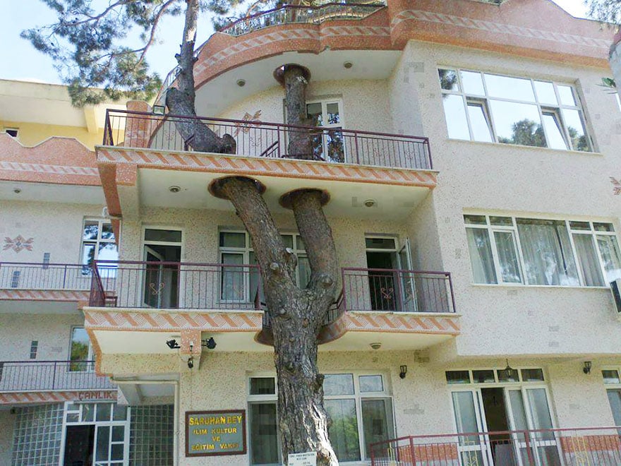 tree, plant, tree house, clever, nature, nature lover, architects, designs, building, tree apartments, residence