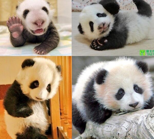 15 amazing sweet pictures