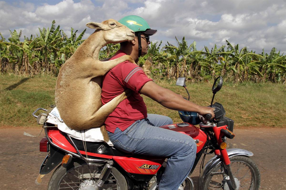 18-Funny-Weird-Crazy-People-on-Motorcycl