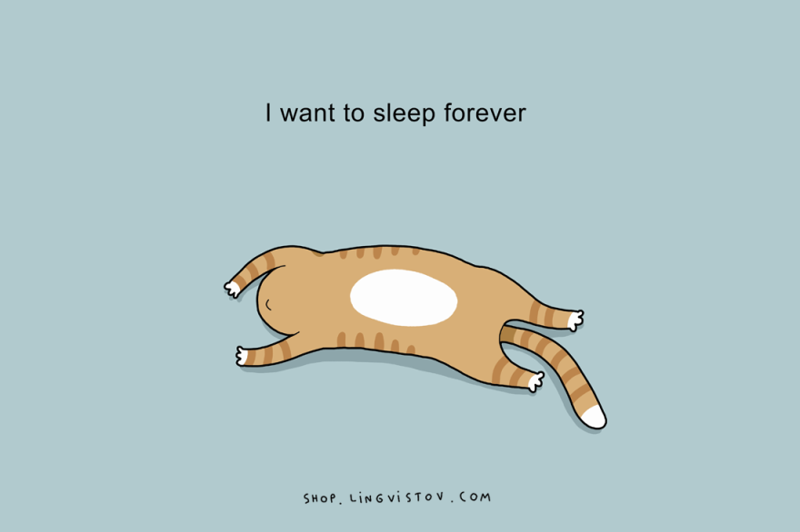 Sleep, bed, pillow, doodle, love to sleep, gud nite, beauty sleep, nap, snoozing, hobby, favourite, funny, lol, wtf