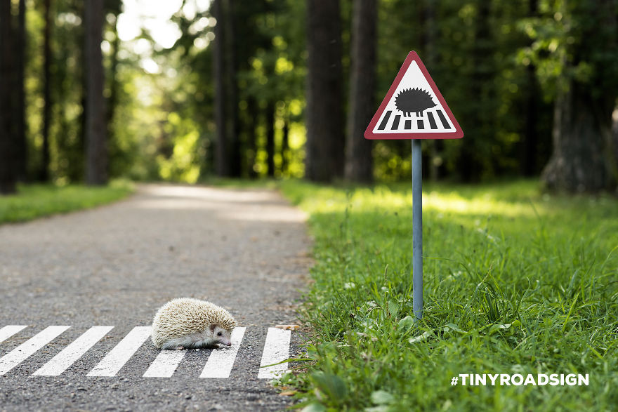 Tiny road signs for animals 1