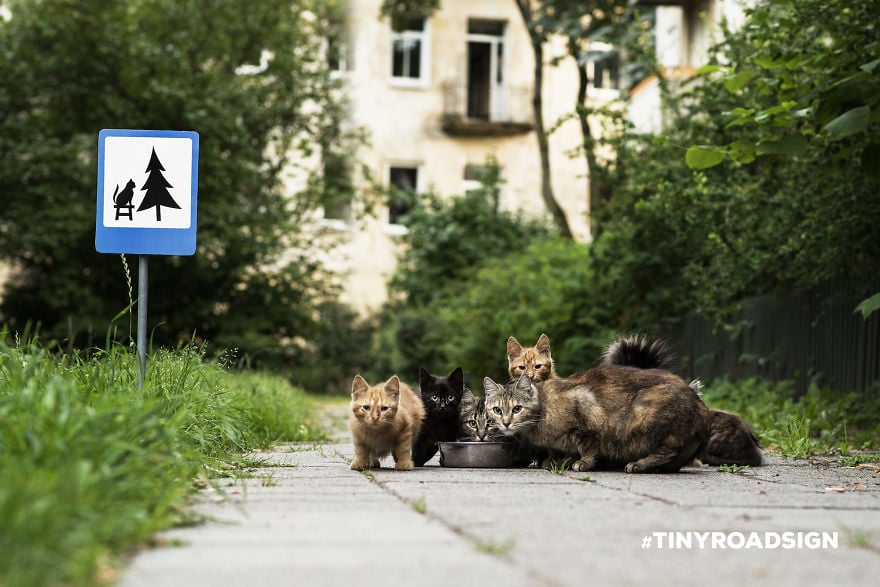 Tiny road signs for animals 2