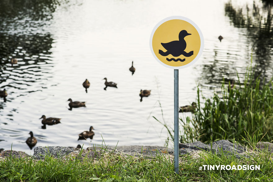 Tiny road signs for animals 3