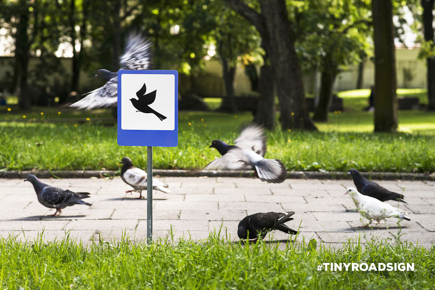 Tiny road signs for animals 4