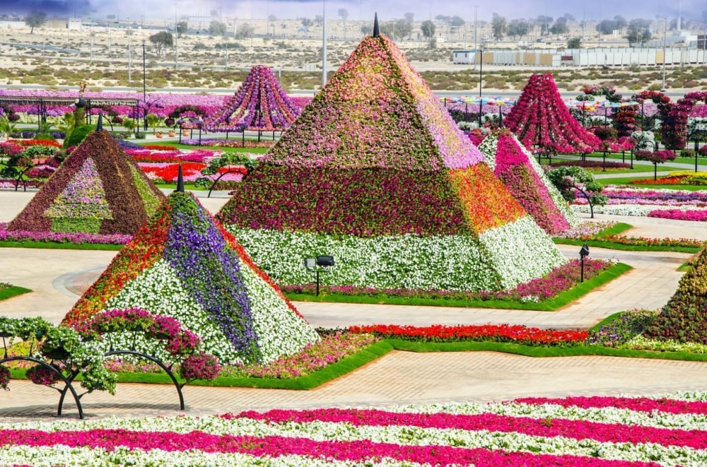 Dubai garden 1