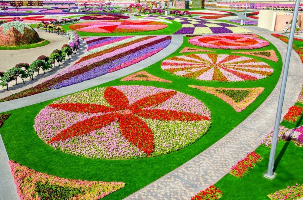 Dubai garden 13