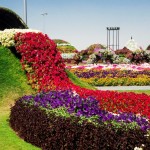 dubai garden 14