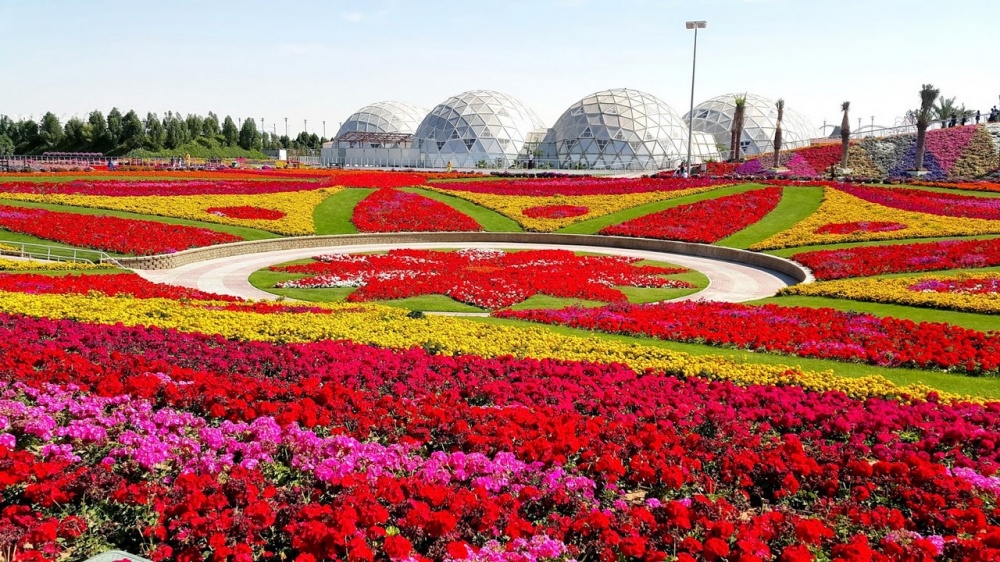 dubai garden 17