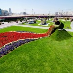 dubai garden 6