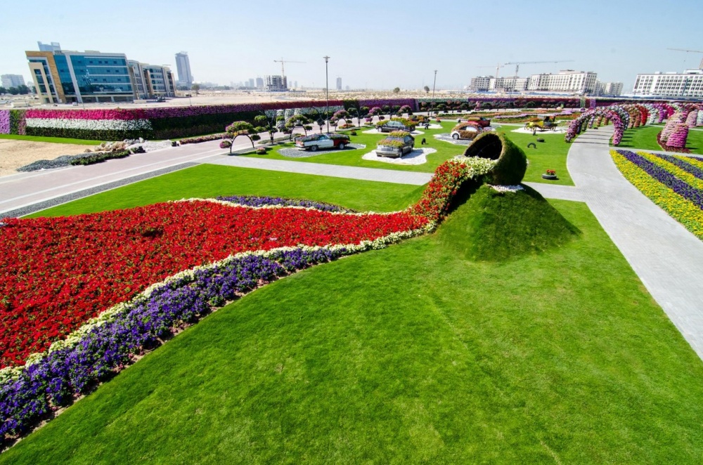 Dubai garden 6