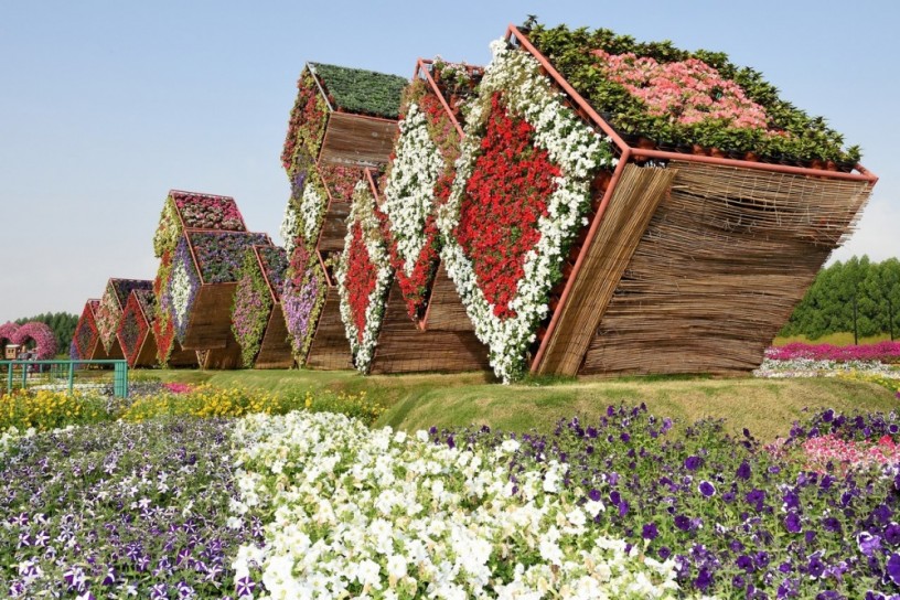 This is the 8th wonder of the world! Unique garden in Dubai will surprise even the most avid