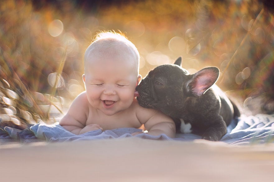 Baby, dog, friendship, french bulldog, ivette ivens, kids, bulldog, man, wow, amazing, friend, awsome, french bulldog, puppy, bulldog pup, dilan