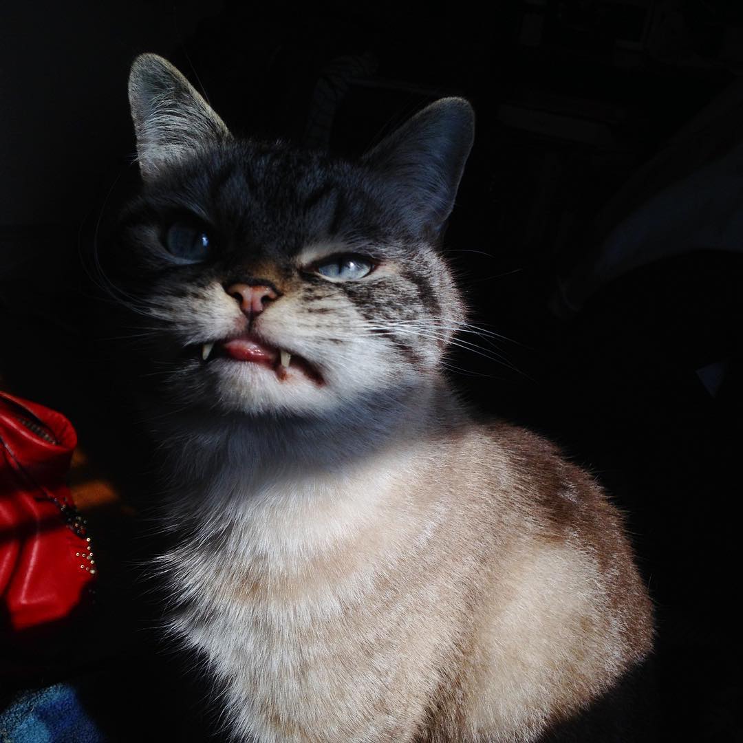 Online casino real money topcasinz Online casino real money topcasinz