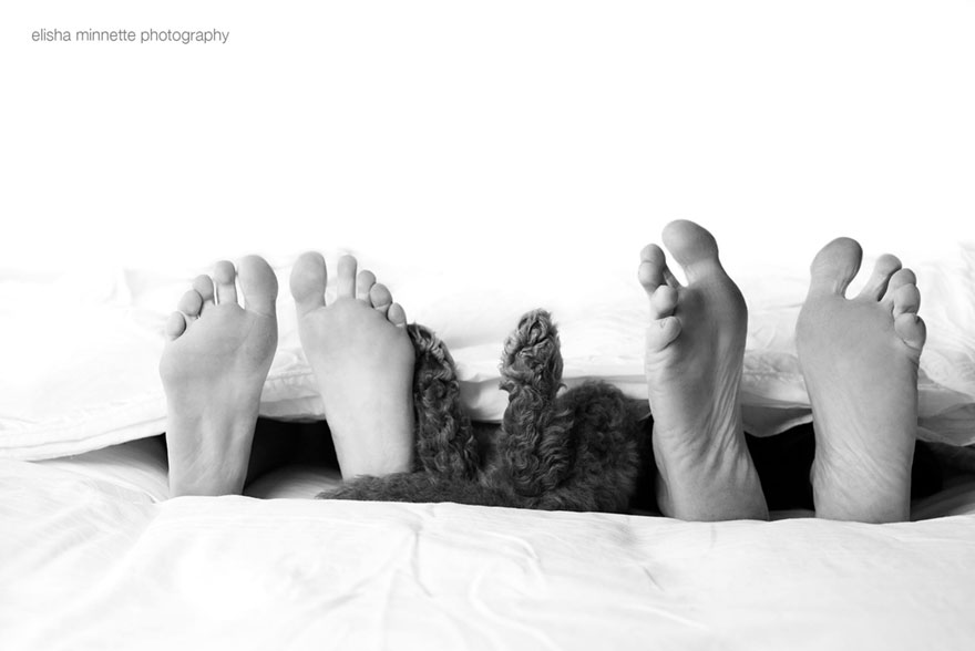 couple, newborn, dog, elisha minnette, photography, Abby Lee, Matt Kay, Australian couple, new mom, new dad, baby, animal, pet, Humphry, Humphry dog, Photoshoot, photographer, idea, creative, creativity, cute dog, family, loving and adorable, groodle