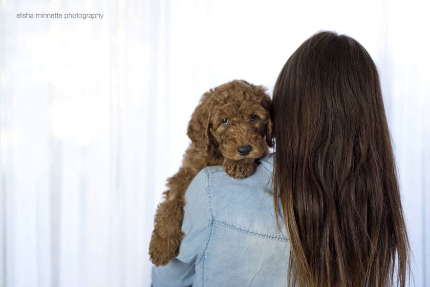 Couple, newborn, dog, elisha minnette, photography, abby lee, matt kay, australian couple, new mom, new dad, baby, animal, pet, humphry, humphry dog, photoshoot, photographer, idea, creative, creativity, cute dog, family, loving and adorable, groodle