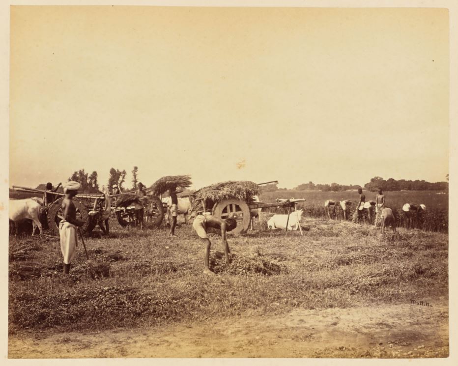 Photo ,india photo ,vintage ,photography,allahabad,prayag,ilahabad,kumbh mela,prayag