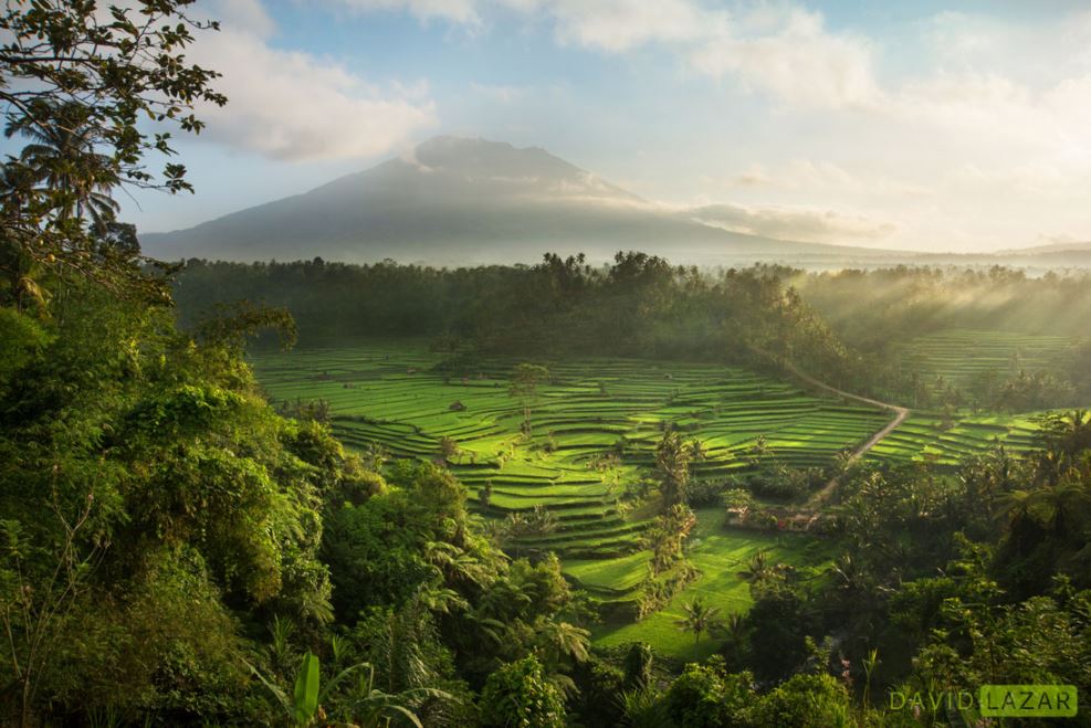 indonesia,indonesia all photo,indonesia facts,indonesia nature photos,david lazar,david lazar photography,nature photos