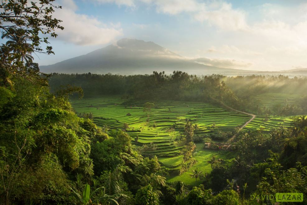 Indonesia,indonesia all photo,indonesia facts,indonesia nature photos,david lazar,david lazar photography,nature photos