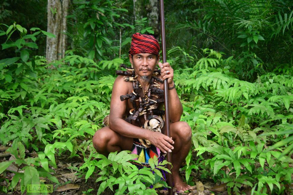 indonesia,indonesia all photo,indonesia facts,indonesia nature photos,david lazar,david lazar photography,nature photos