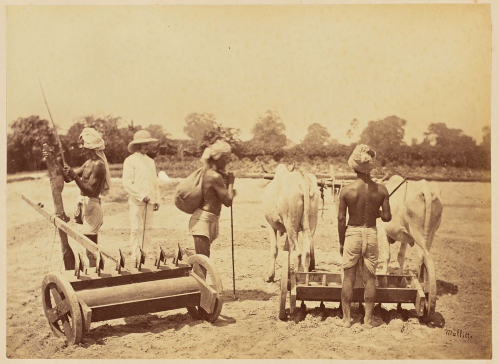 Photo ,india photo ,vintage ,photography,allahabad,prayag,ilahabad,kumbh mela,prayag