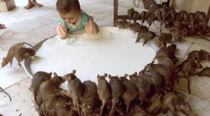 weird places in india, india, weird places in world, weird places on earth, haunted places in india, strange places in india weird pictures, weird places to visit, Unique Places of India, mysterious, unusual, traveller, asia, travel tips india, incredible india