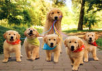 15 Awesome Pics Of Proud Dog Mommies With Their Cute Babies