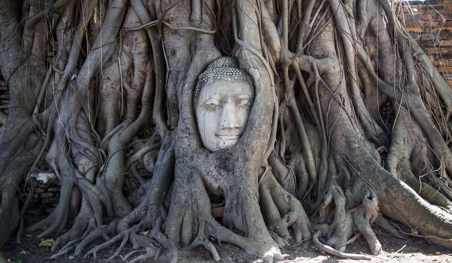 thailand, country, travel, visit, photographer, photography, Long Neck Village, Ayutthaya, city, asia, Phi Phi Islands, Monkey Beach, Monkey Buffet Festival, bangkok, historic, place, amazing, awesome, wow, beautiful