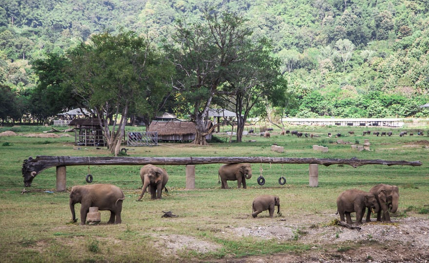 thailand, country, travel, visit, photographer, photography, Long Neck Village, Ayutthaya, city, asia, Phi Phi Islands, Monkey Beach, Monkey Buffet Festival, bangkok, historic, place, amazing, awesome, wow, beautiful