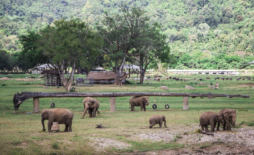 Thailand, country, travel, visit, photographer, photography, long neck village, ayutthaya, city, asia, phi phi islands, monkey beach, monkey buffet festival, bangkok, historic, place, amazing, awesome, wow, beautiful