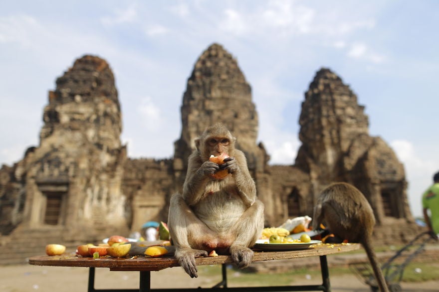 thailand, country, travel, visit, photographer, photography, Long Neck Village, Ayutthaya, city, asia, Phi Phi Islands, Monkey Beach, Monkey Buffet Festival, bangkok, historic, place, amazing, awesome, wow, beautiful