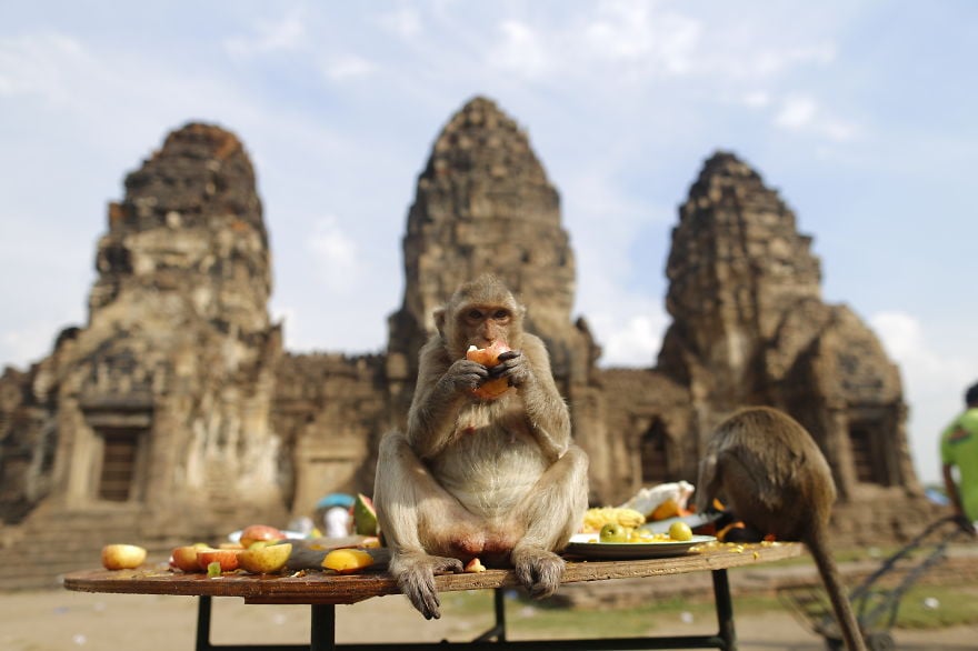 Thailand, country, travel, visit, photographer, photography, long neck village, ayutthaya, city, asia, phi phi islands, monkey beach, monkey buffet festival, bangkok, historic, place, amazing, awesome, wow, beautiful