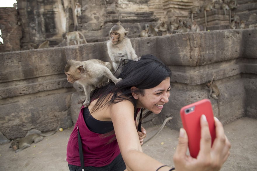 thailand, country, travel, visit, photographer, photography, Long Neck Village, Ayutthaya, city, asia, Phi Phi Islands, Monkey Beach, Monkey Buffet Festival, bangkok, historic, place, amazing, awesome, wow, beautiful