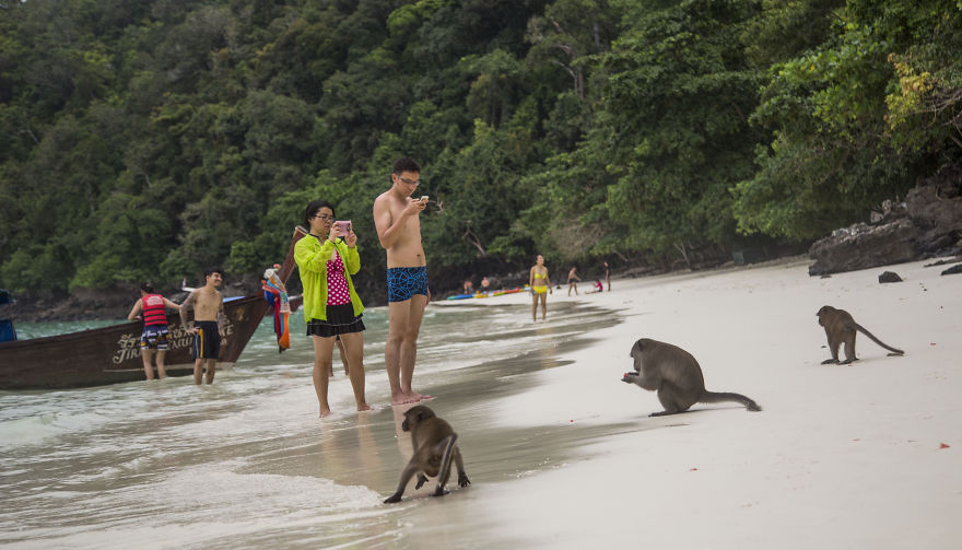 Thailand, country, travel, visit, photographer, photography, long neck village, ayutthaya, city, asia, phi phi islands, monkey beach, monkey buffet festival, bangkok, historic, place, amazing, awesome, wow, beautiful