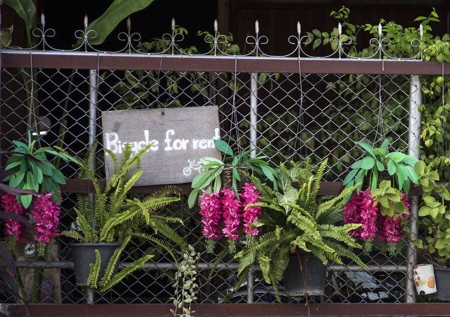 A Different Beautiful Side Of Thailand That You Should Know About  (9)