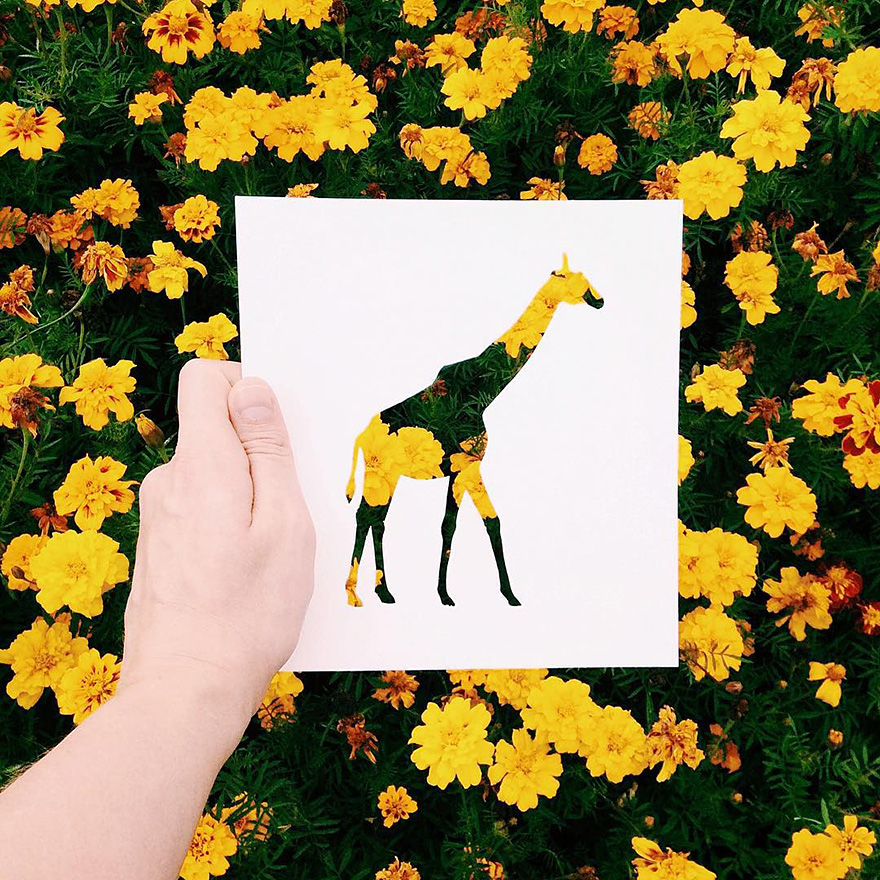 animals, silhouettes, natural, landscapes, nikolai tolstyh, artist, Papercutting, china, europe, paperart, imagination, paper animal, animal shape, nature, amazing, wow, amazing, creative, creativity
