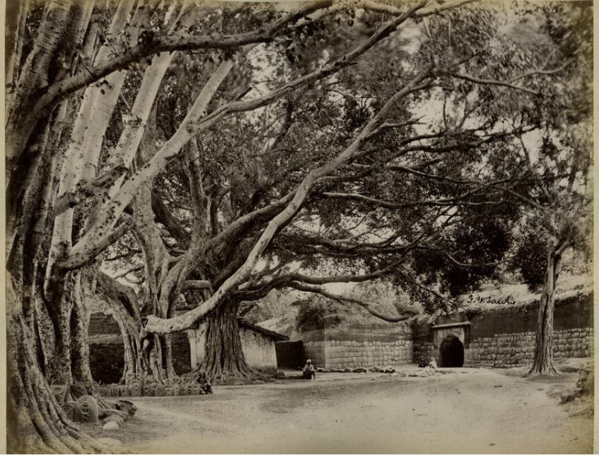 Photo,india photo,vintage,photography,mysore