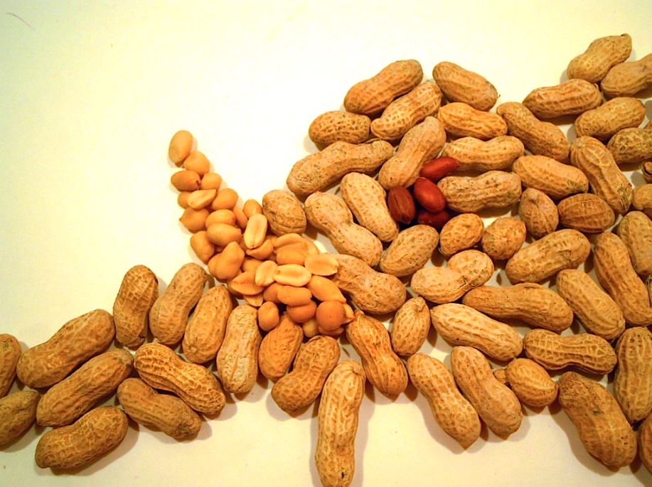 Presenting 15 Proven & Surprising Health Benefits of Peanuts Reckon Talk